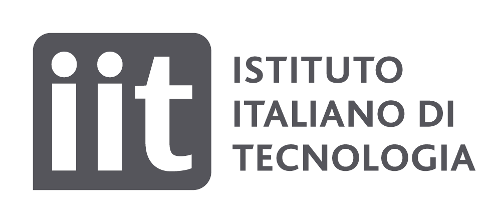 IIT-Logo